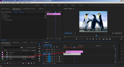 Cara Menambahkan Gambar Di Video Adobe Premiere