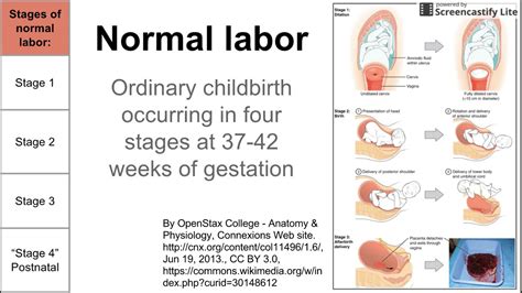 normal labor ordinary delivery youtube