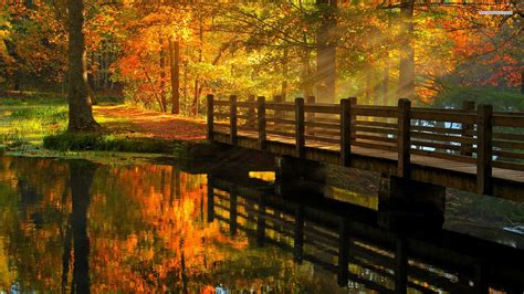 Wooden Bridge In The Autumn Forest Wallpaper 6358 Forest Wallpaper