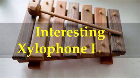 interesting xylophone facts youtube