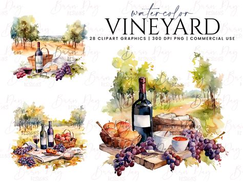 Watercolor Vineyard Clipart Bundle Graphic By Busydaydesign · Creative