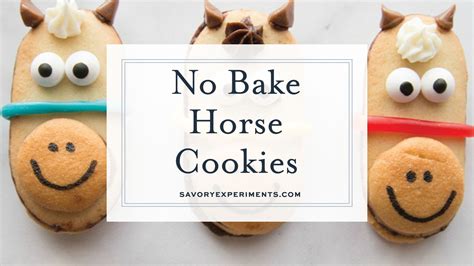 Homemade Horse Treat Recipes No Bake Bryont Blog