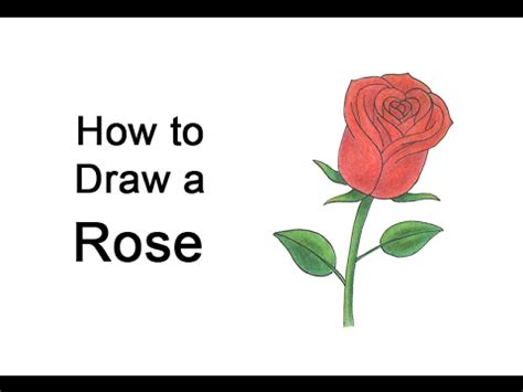 Valentine drawing valentines day drawing easy drawings sketches dinosaur drawing doodle canvas drawings drawing for kids kids art projects. How to Draw a Rose for Valentine's Day - YouTube
