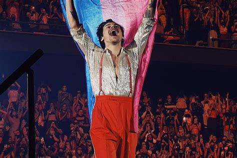 A True Ally Harry Styles Helped A Fan Come Out During His Concert
