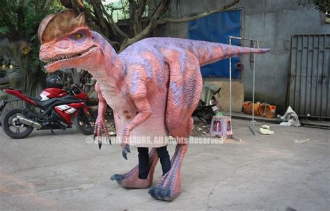 Realistic Dinosaur Costume Custom Dilophosaurus Costume