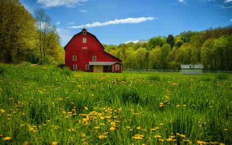 Pin By Shelby Driver On Art Yes Rustic Wallpaper Countryside