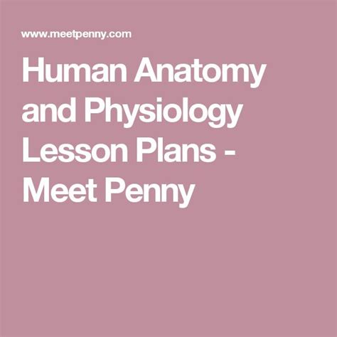 Human Anatomy And Physiology Lesson Plans Meet Penny Human Anatomy