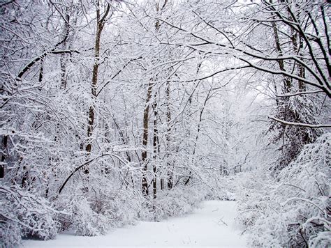 Find over 100+ of the best free blizzard images. 10 Must Do's Before A Mega Storm in Bucks County - Paul Rosso