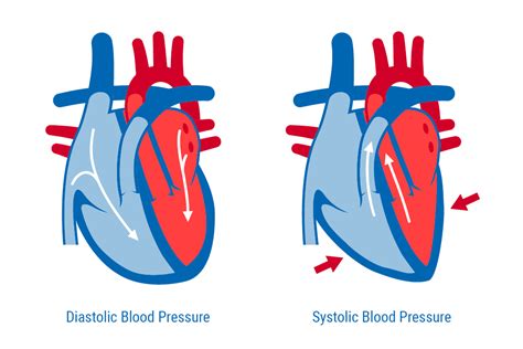10 Crucial Difference Between Systolic And Diastolic Blood Pressures