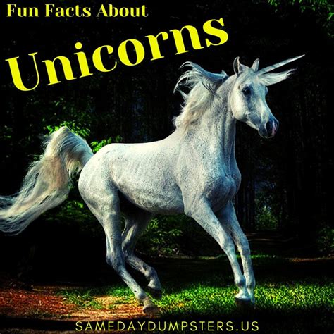 Fun Facts About Unicorns Same Day Dumpsters Rental