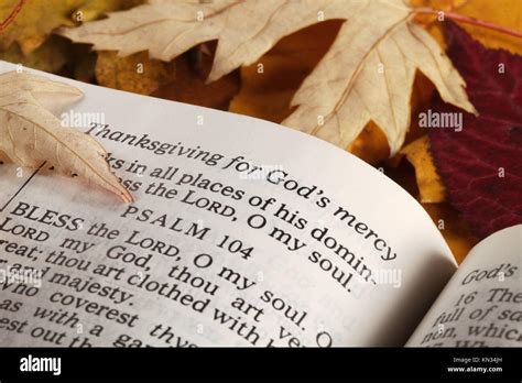 Open Bible And Autumn Leaves Stock Photo Alamy