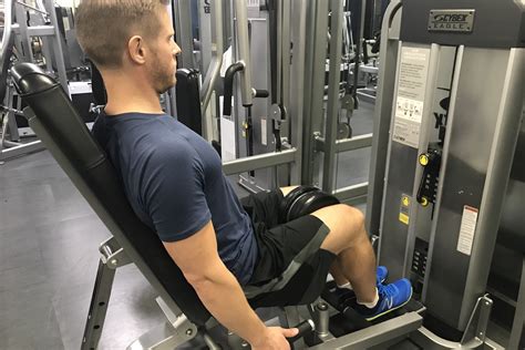 Why You Should Train Your Adductors For Rehab And Sports Human Movement