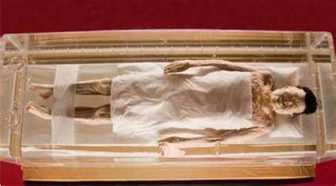 The Mystery Of Xin Zhuis Cadaver A Case Of Remarkable Preservation