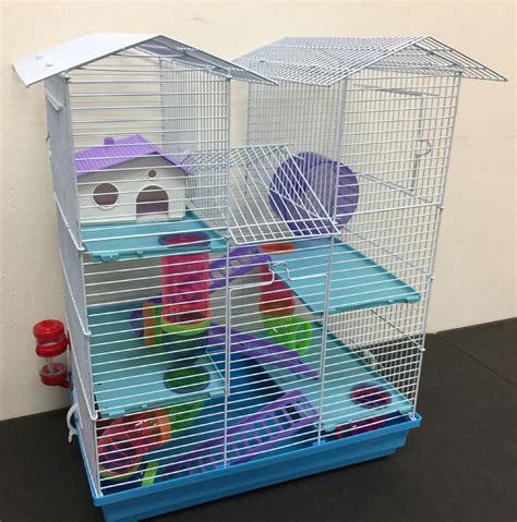 Download this template using the above button. Hamster Picture 835 1000 Jpg / Large Twin Towner Syrian Hamster Habitat Rodent Gerbil Mouse Mice ...