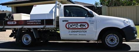 Check out what 136 people have written so far, and share your own experience. Pest Control Kingscliff | Pest Ex
