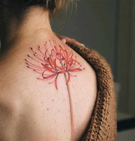 Vài ý nghĩa hình xăm hoa bỉ ngạn đỏ. 20+ hình xăm hoa bỉ ngạn ở vai, tay, lưng, chân đẹp cho nữ ...