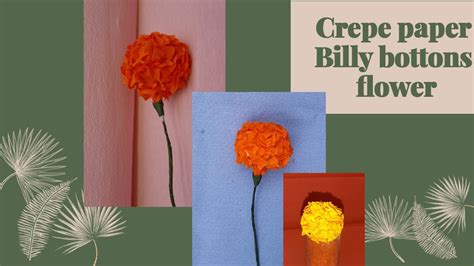 Craspedia flowers have a long vase life and are an ideal dried flower. Crepe Paper Marigold flower/billy buttons flower tutorial ...