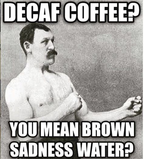 Check Out These Coffee Memes But First Drink Coffee That First