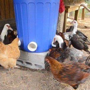 Unlike waterers, however, you'll need to this feeder opens up when your chickens step on it which deters waste, and allows them to eat whenever they want. DIY No Waste Chicken Feeder Bin | Chicken water feeder, Chicken feeder diy, Pvc chicken feeder