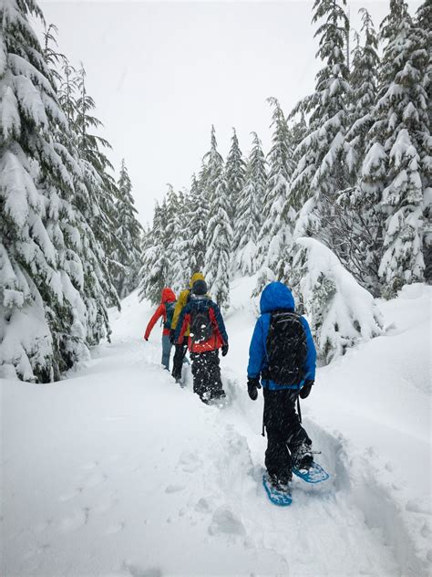Snowshoeing Tips For First Timers Powder Paws Snowshoes