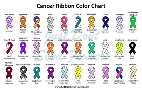 Colors Of Cancer Awareness Ribbons Symbolizing Support And Solidarity