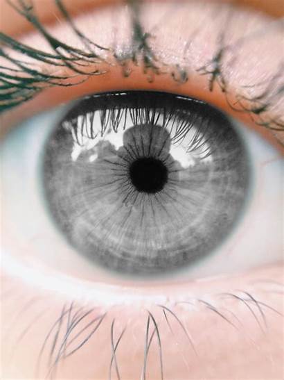 Eyes Eye Cool Pretty Gray Aesthetic Iris