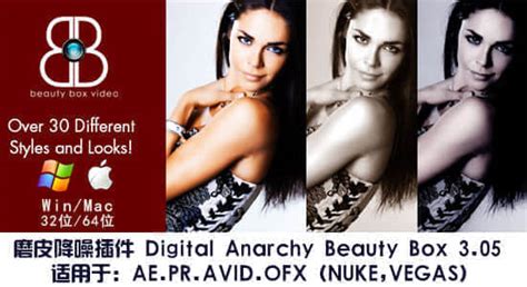 Ae Pr Digital Anarchy Beauty Box V Win Lookae Com