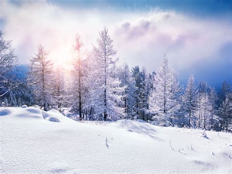 Winter Snow Nature Landscape Wallpaper 3200x2400 866249 Wallpaperup