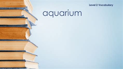 Level 2 Vocabulary Aquarium Definition Meaning Youtube