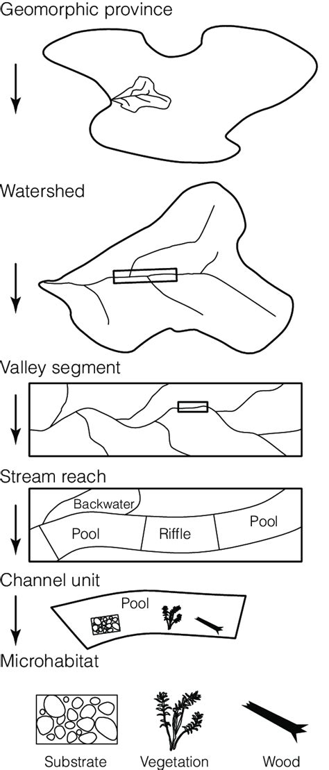 2 The Hierarchy And Spatial Scales Of Stream Habitat After Frissell