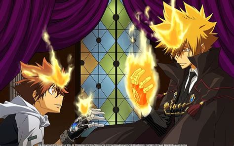 Anime Katekyō Hitman Reborn Tsunayoshi Sawada Giotto Katekyō