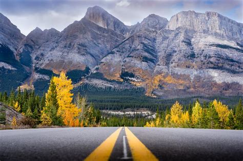 Highway 93 Along The Icefields Parkway During Fall Colours Stock Image
