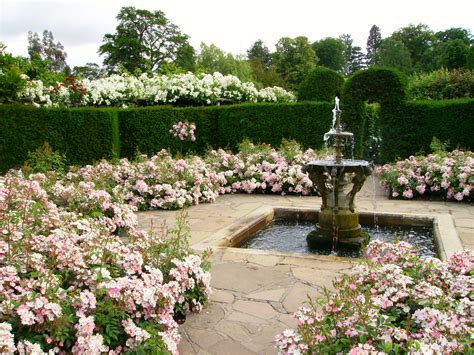 Filehever Castle Rose Garden With Fountain