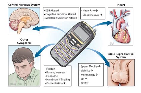 All About Cell Phones And Health Precision Nutrition