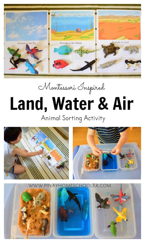 Introducing Toddlers To Animals In Land Water And Air