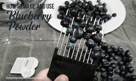 How To Dehydrate Blueberries And Make Blueberry Powder The Purposeful