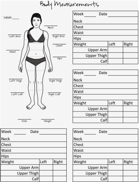 Printable Body Measurement Chart Pdf