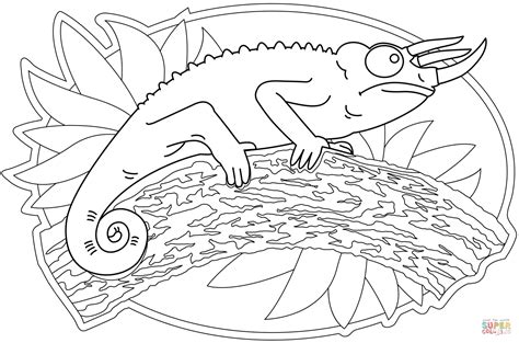 Trioceros Kameleon Kleurplaat Gratis Kleurplaten Printen