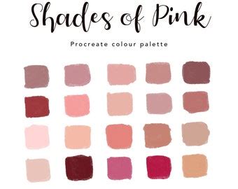 Nude Pink Color Palette Etsy