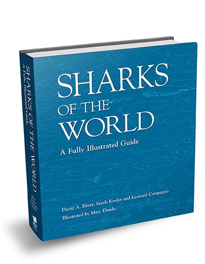 4 Sharks Of The World Southern Fried Science