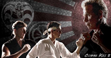 Cobra kai had received universally great reviews upon release—the first season has a 100% score on rotten tomatoes, and the second has an 88%—and the acclaim in the time since the show has hit netflix has been just as strong; Cobra Kai Season 3 Release Date, Trailer, Cast, Plot And ...