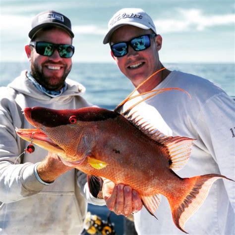 Big Amberjack Off Anna Maria Island With Captain Jason Stock Captain