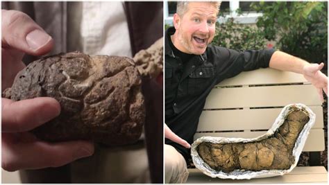5 Things Dinosaur Poop Can Teach Us Guinness World Records