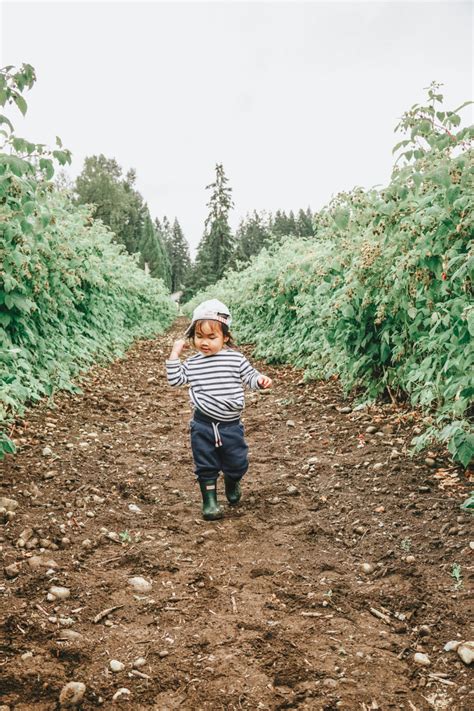 Maybe you would like to learn more about one of these? Summer Berry Picking in Seattle's Eastside | Mochi Mommy