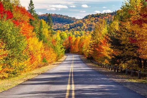 Fall Foliage At The Emerson Resort And Spa In The Catskills Luxe Beat