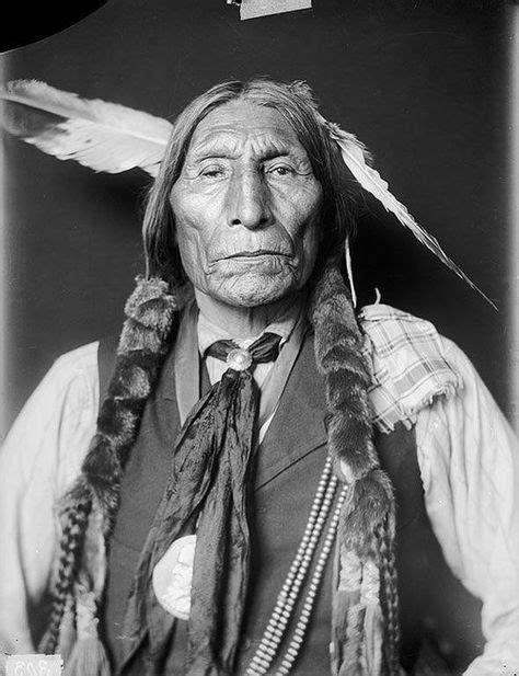 200 Idee Su Native American Indian Nativi Americani Indiani Nativi