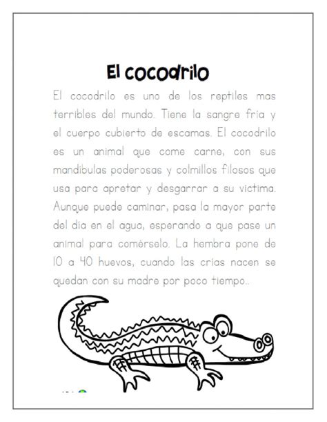 Ejercicio De El Cocodrilo Texto Informativo