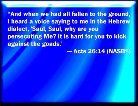 Acts 2614 And When We Were All Fallen To The Earth I Heard A Voice