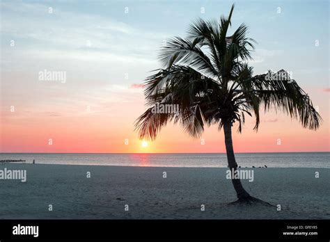 Sunset On Aruba Island At Eagle Beach In The Caribbean Stock Photo Alamy