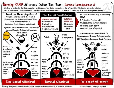 Cardiac 2 Hemodynamics Afterload Preload Nursing Kamp Stickenotes Tws